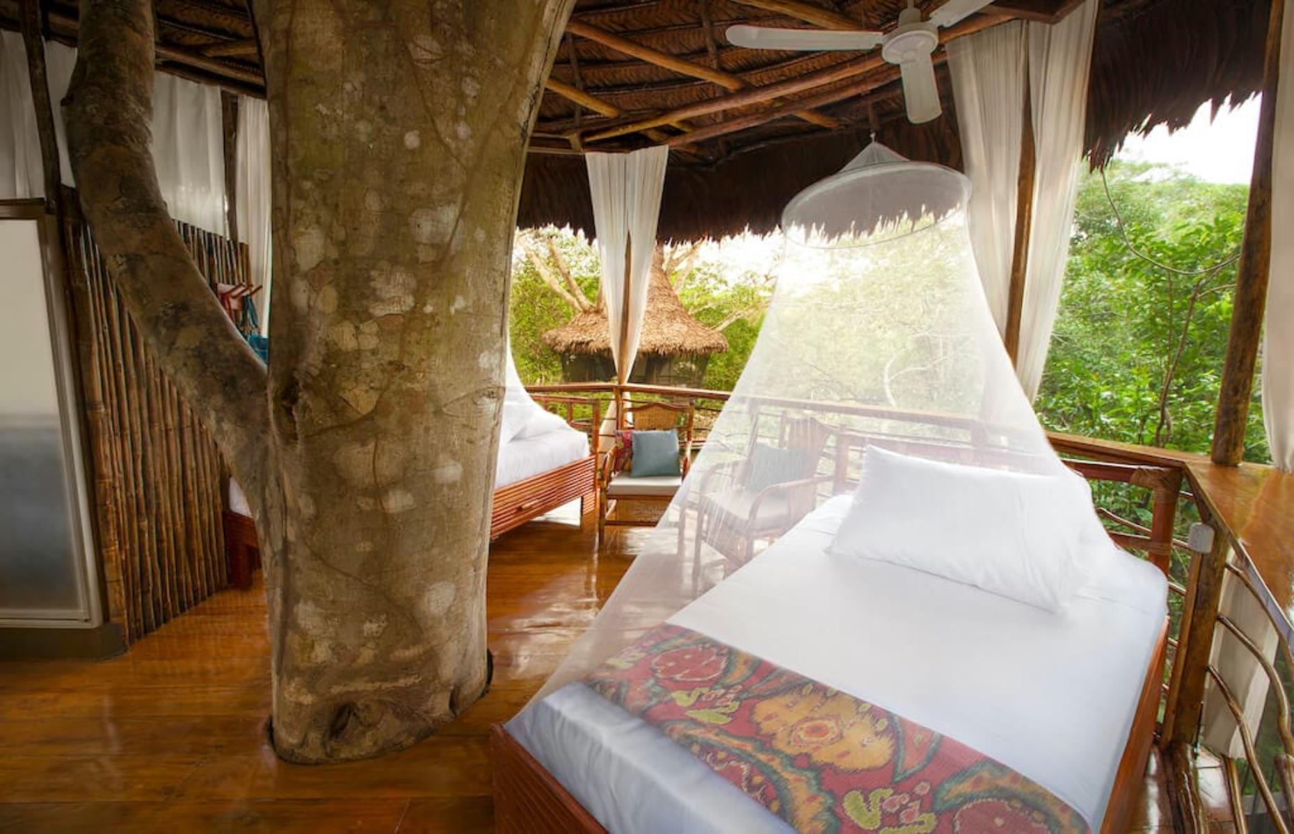 Treehouse Lodge, Peru